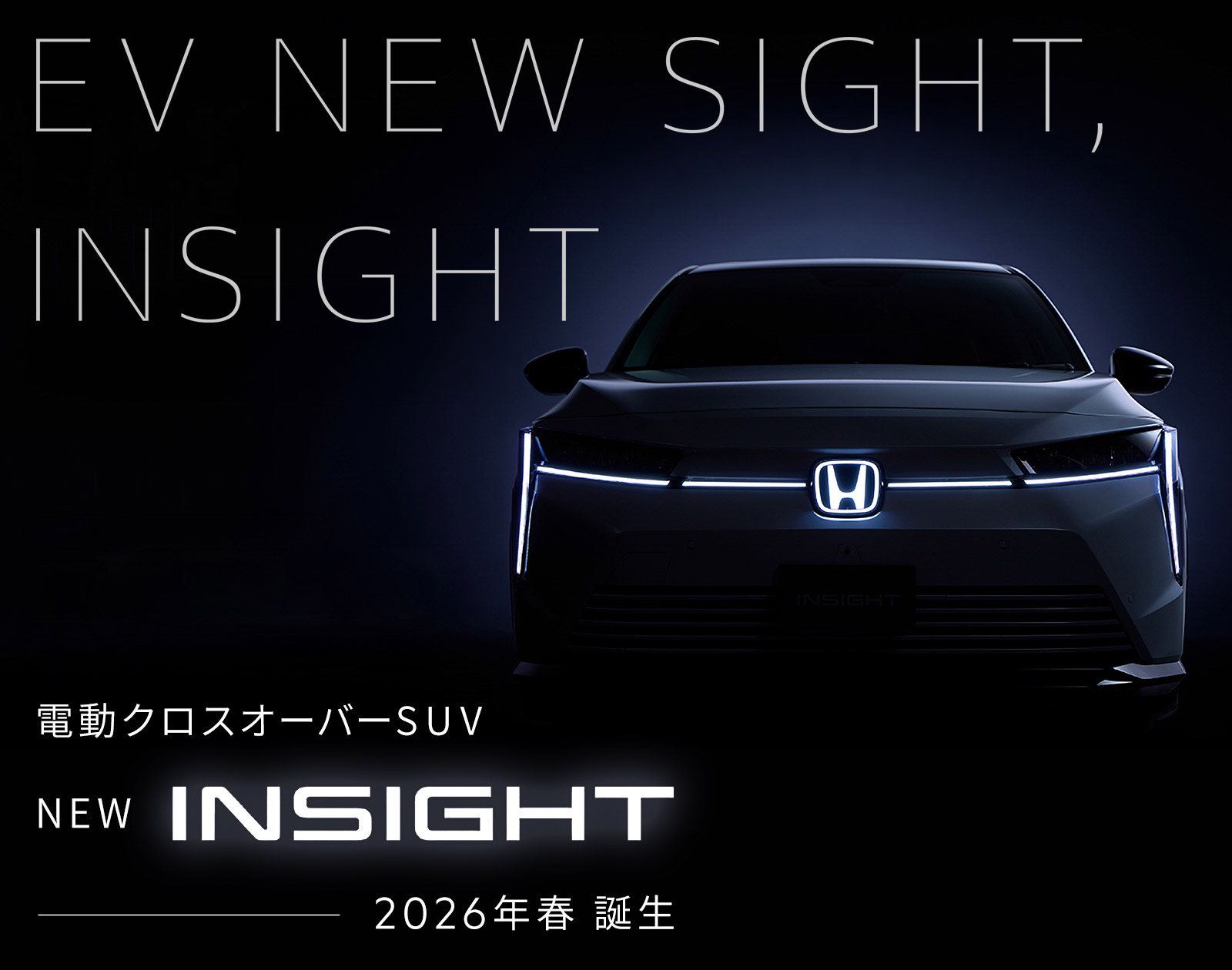 先行情報公開中・INSIGHT