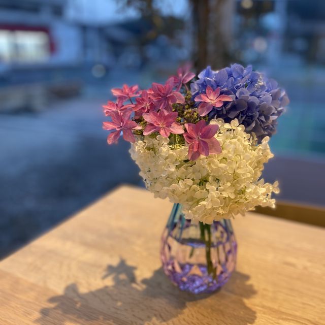 紫陽花をいただきました(^^)