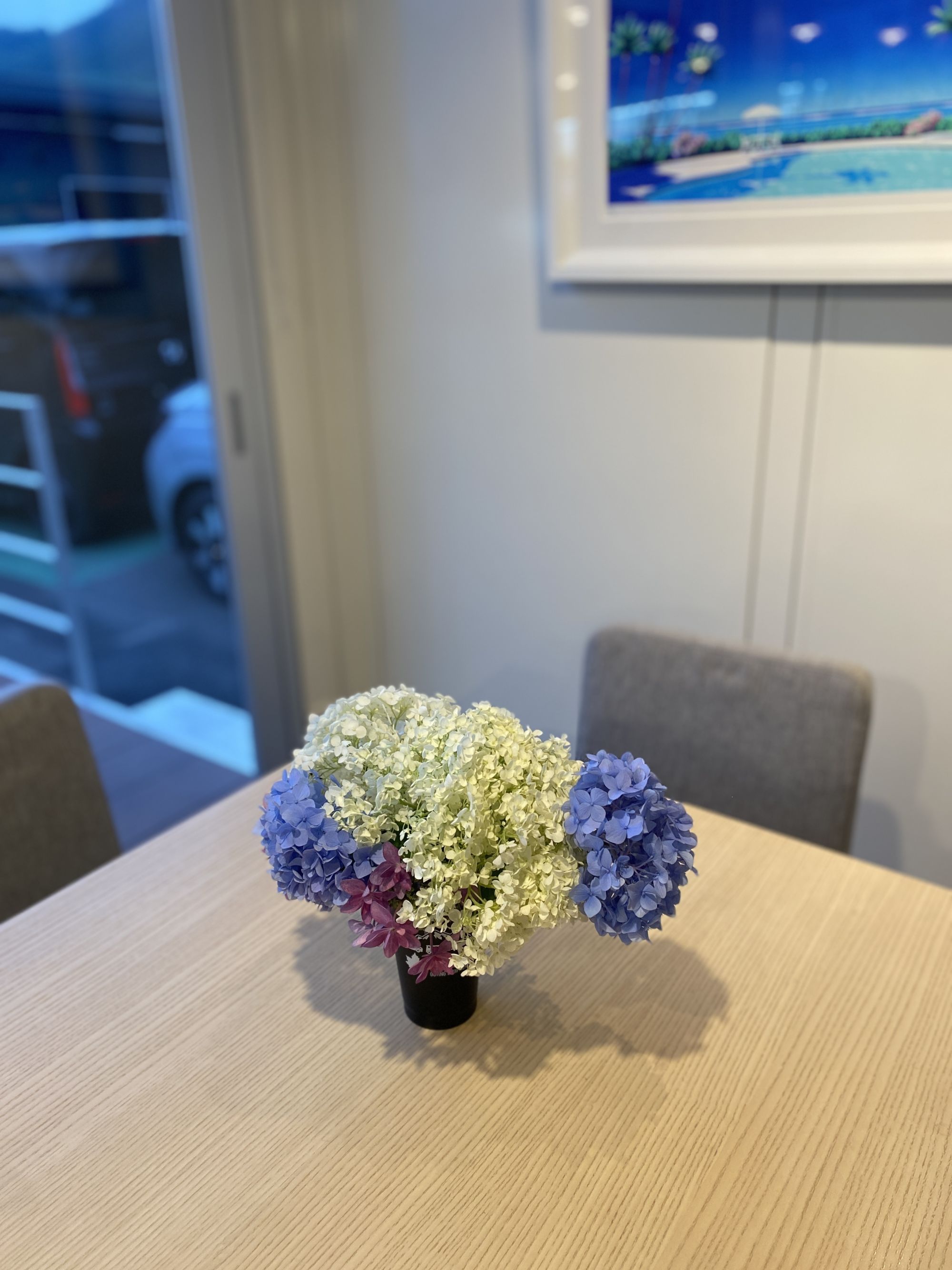 紫陽花をいただきました(^^)