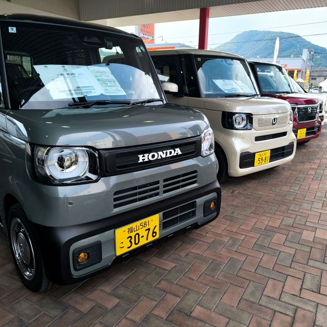日差しが強くなってきましたね