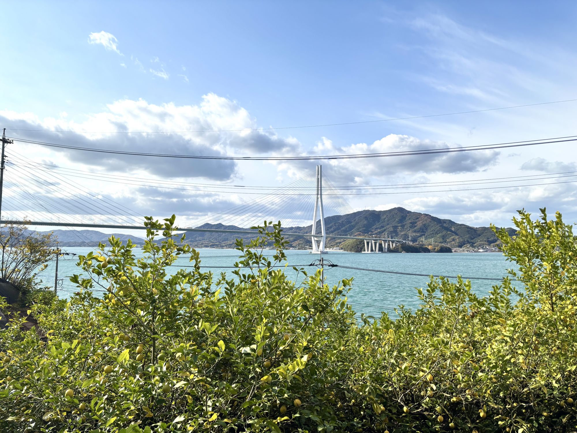 しまなみ海道サイクリング旅 1