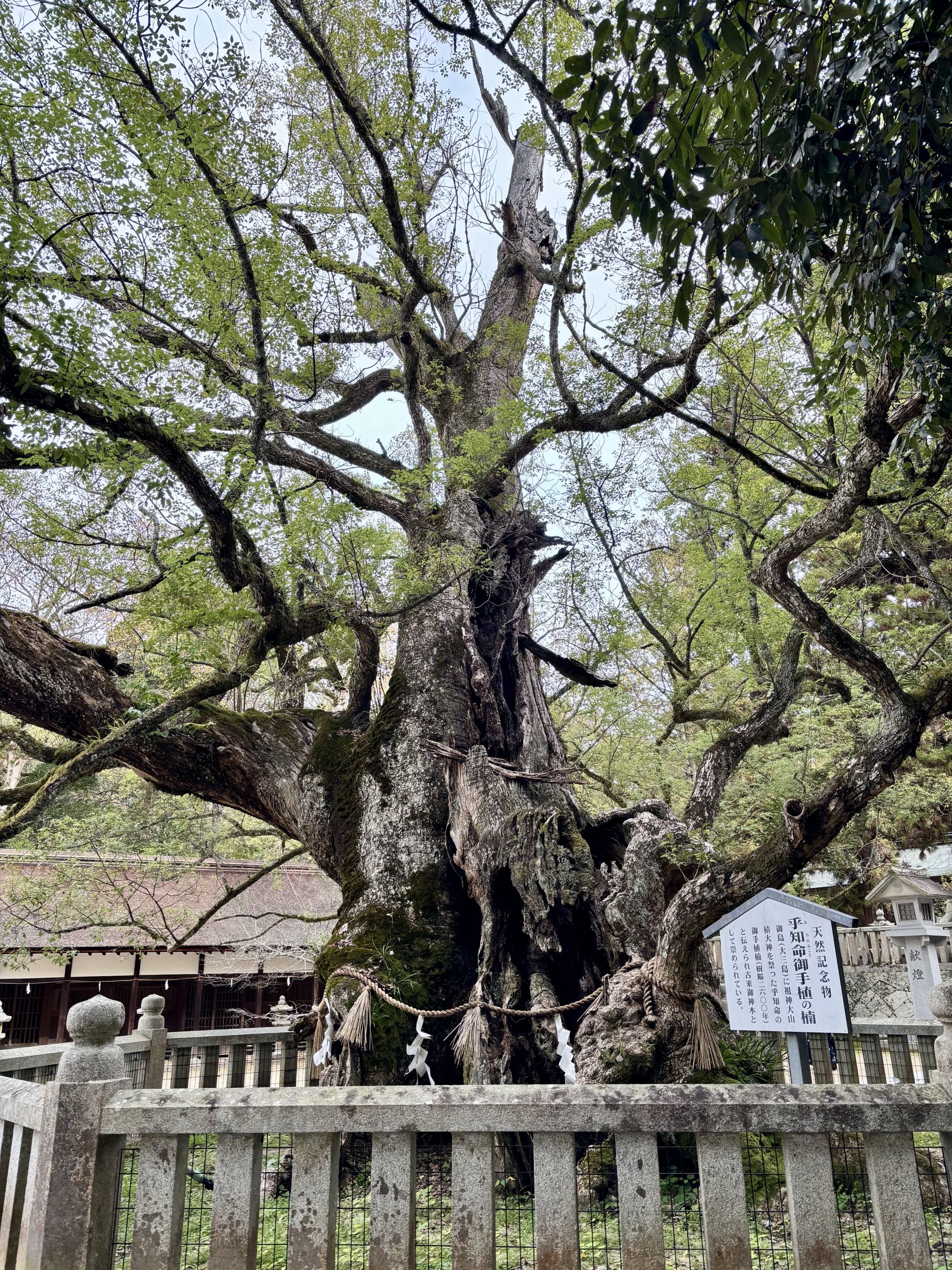 しまなみ海道サイクリング旅 2