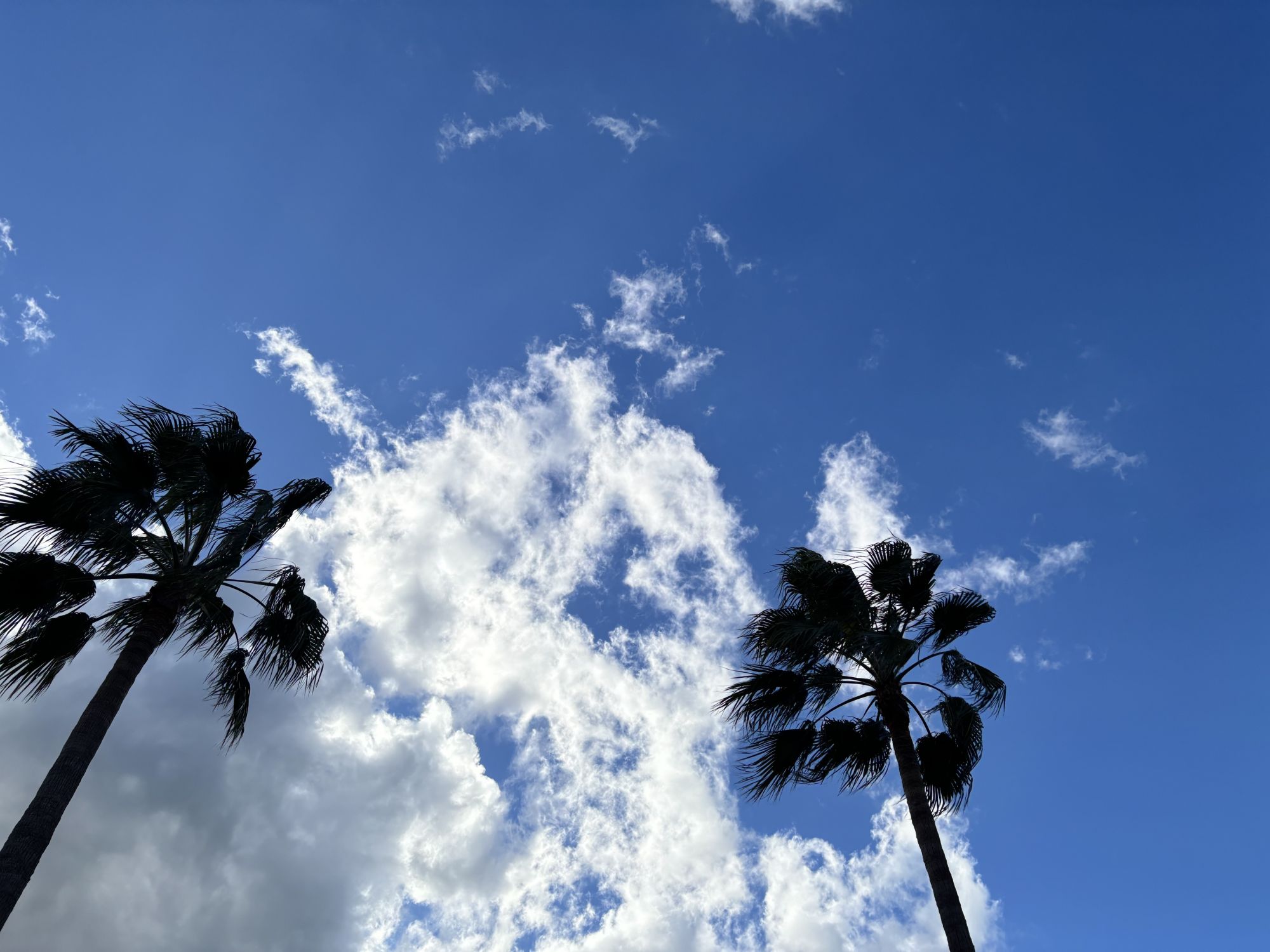 しまなみ海道サイクリング旅 3