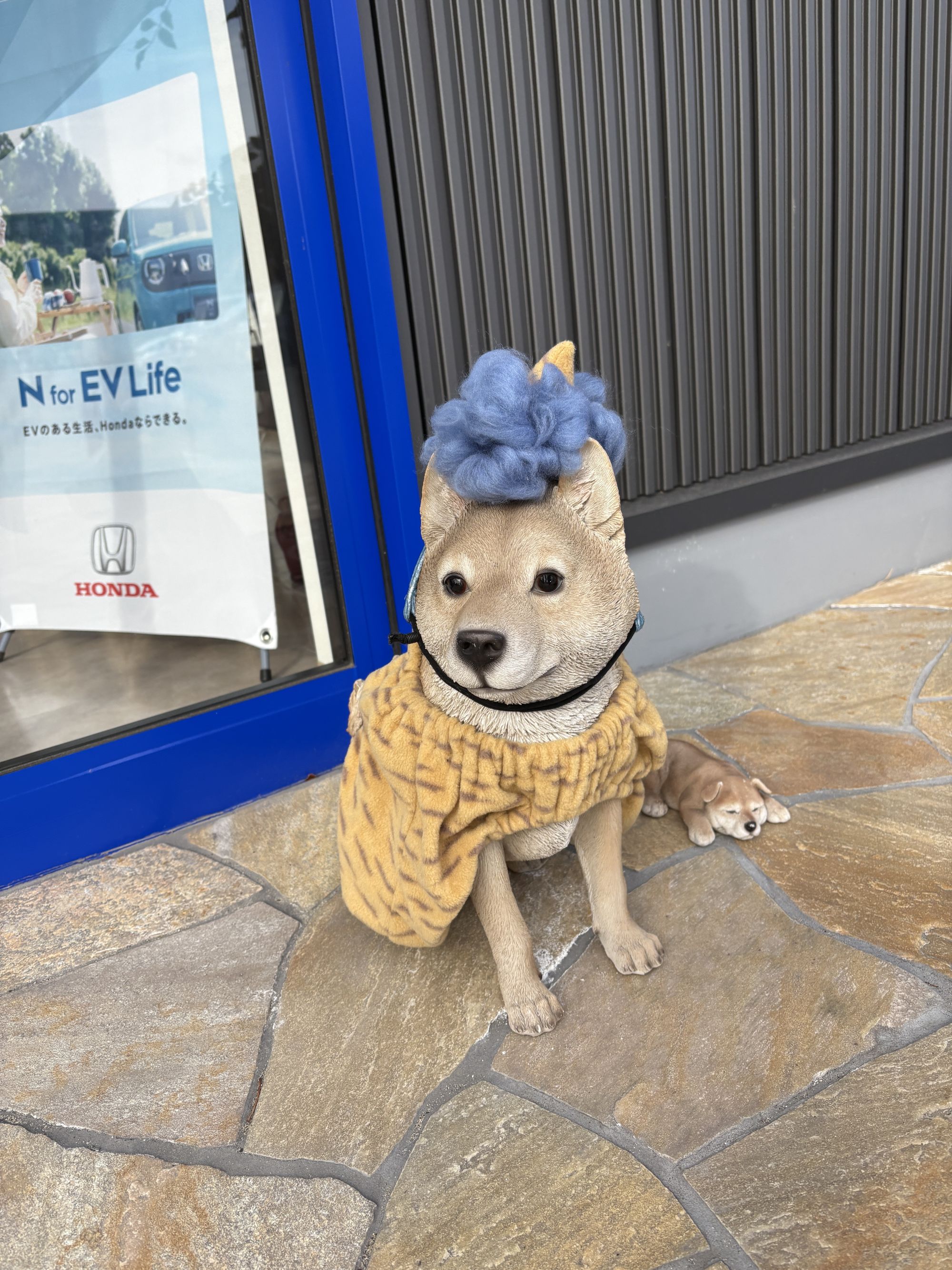 節分の看板犬