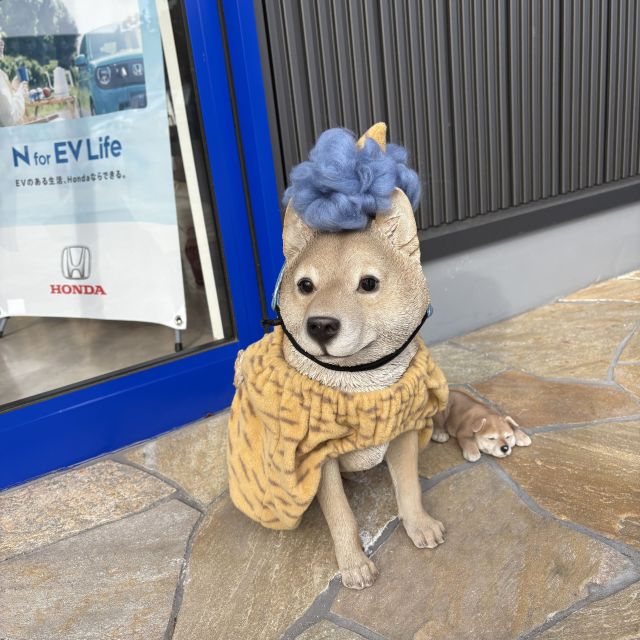 節分の看板犬