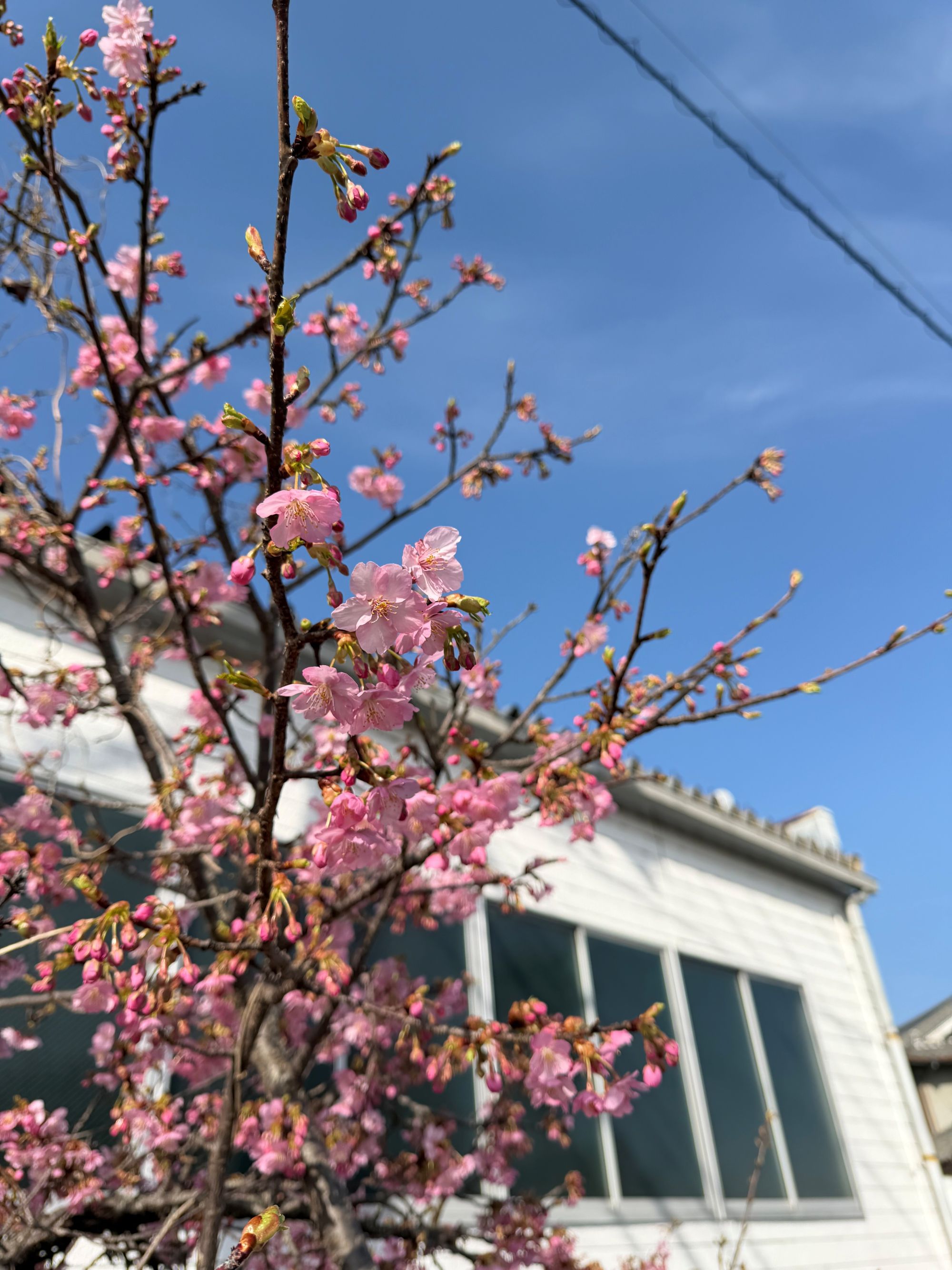 大切なお知らせ