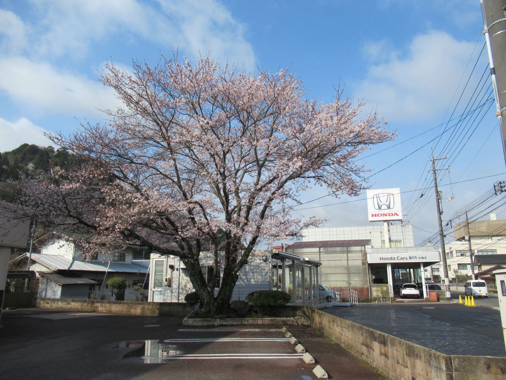 世羅店、新店舗オープンしました！