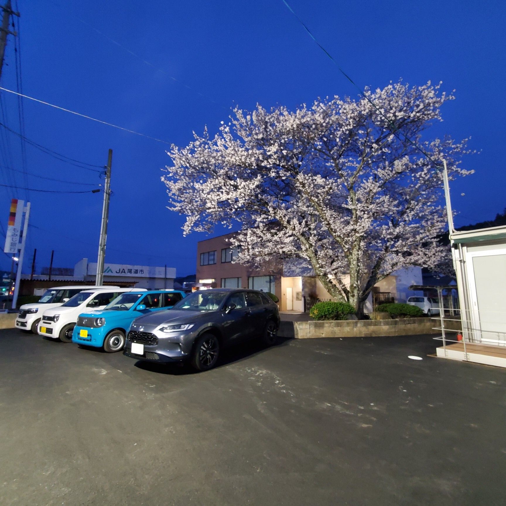 世羅店、新店舗オープンしました！